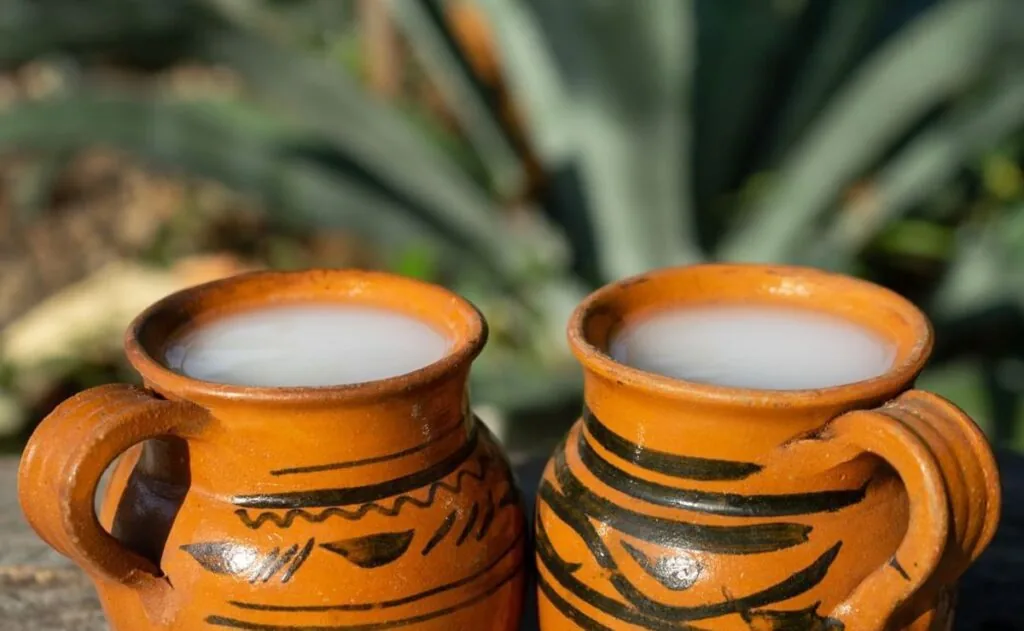 Pulque