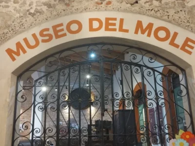 Casa Mercado / Museo del mole