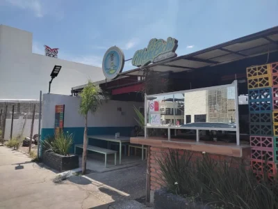 El Mono Bichi Juriquilla