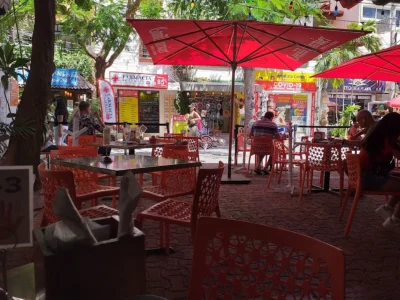 La Vagabunda