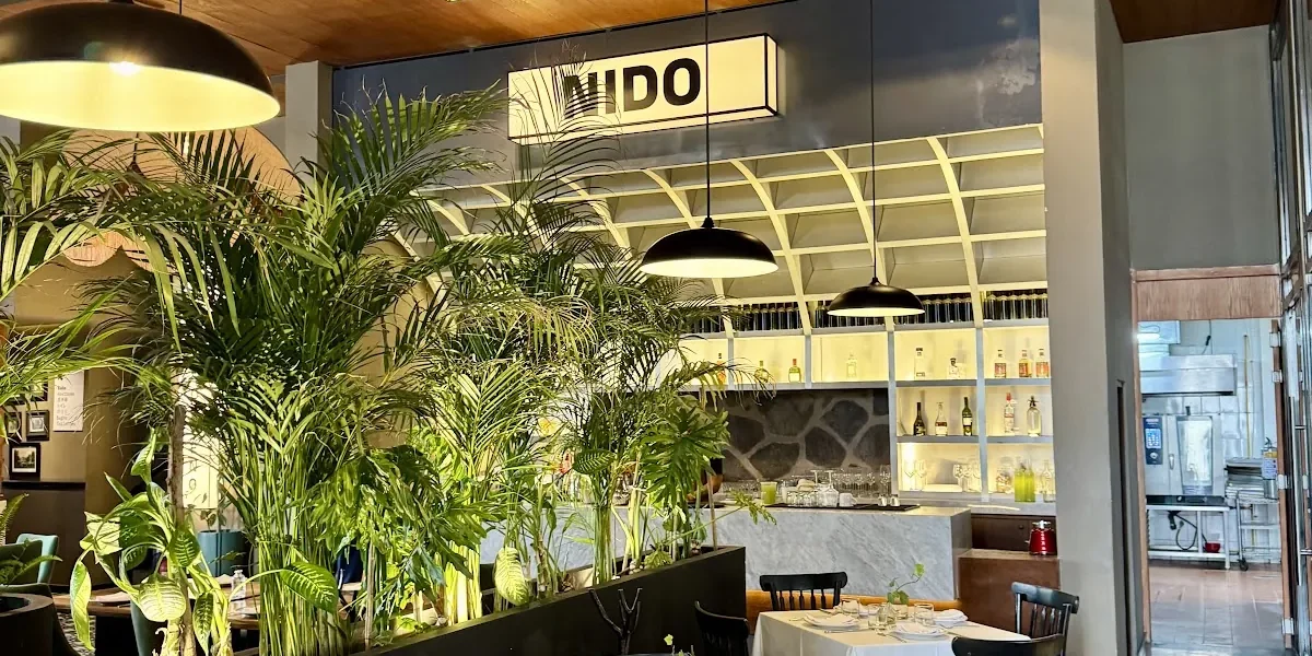 NIDO