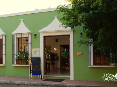 Yerbabuena del sisal